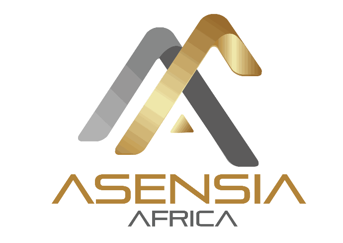 Logo d'Asensia Africa Group présentant deux triangle or et argent